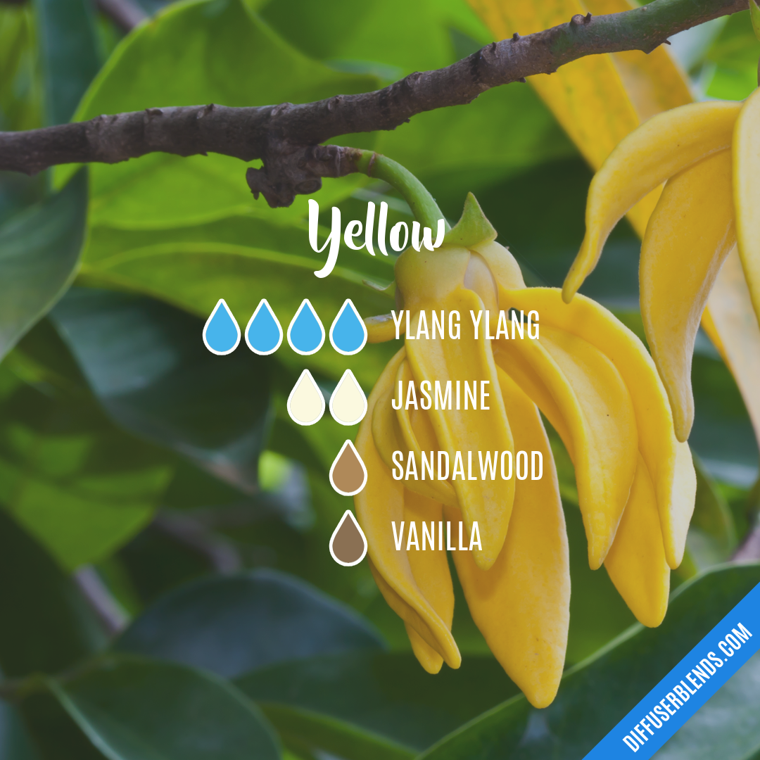 Yellow — Essential Oil Diffuser Blend