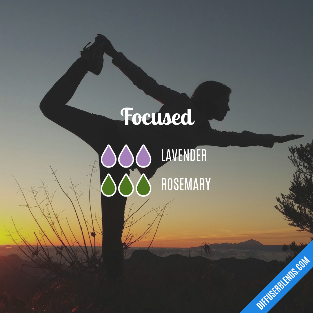 Focused — Essential Oil Diffuser Blend