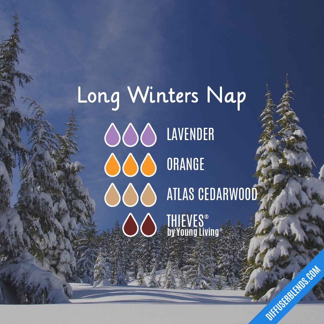 Long Winters Nap — Essential Oil Diffuser Blend