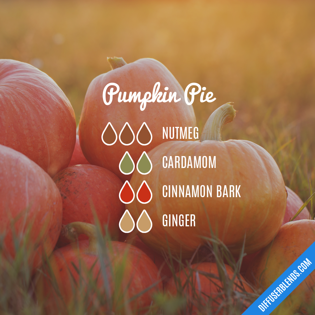 Pumpkin Pie — Essential Oil Diffuser Blend