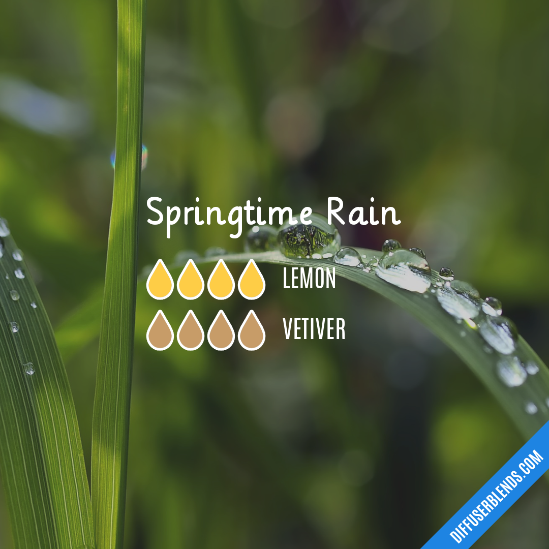 Springtime Rain — Essential Oil Diffuser Blend
