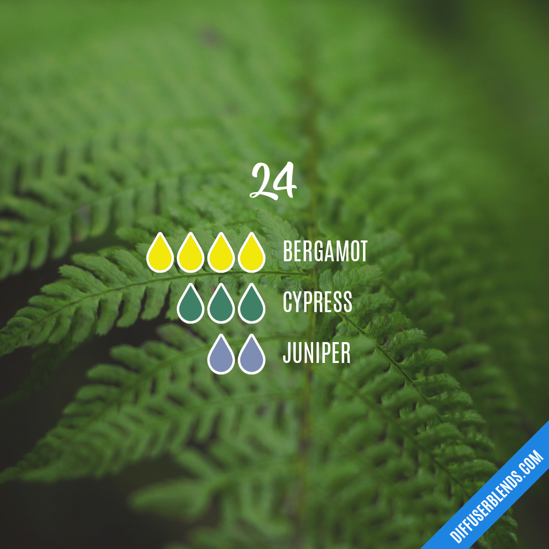 24 — Essential Oil Diffuser Blend