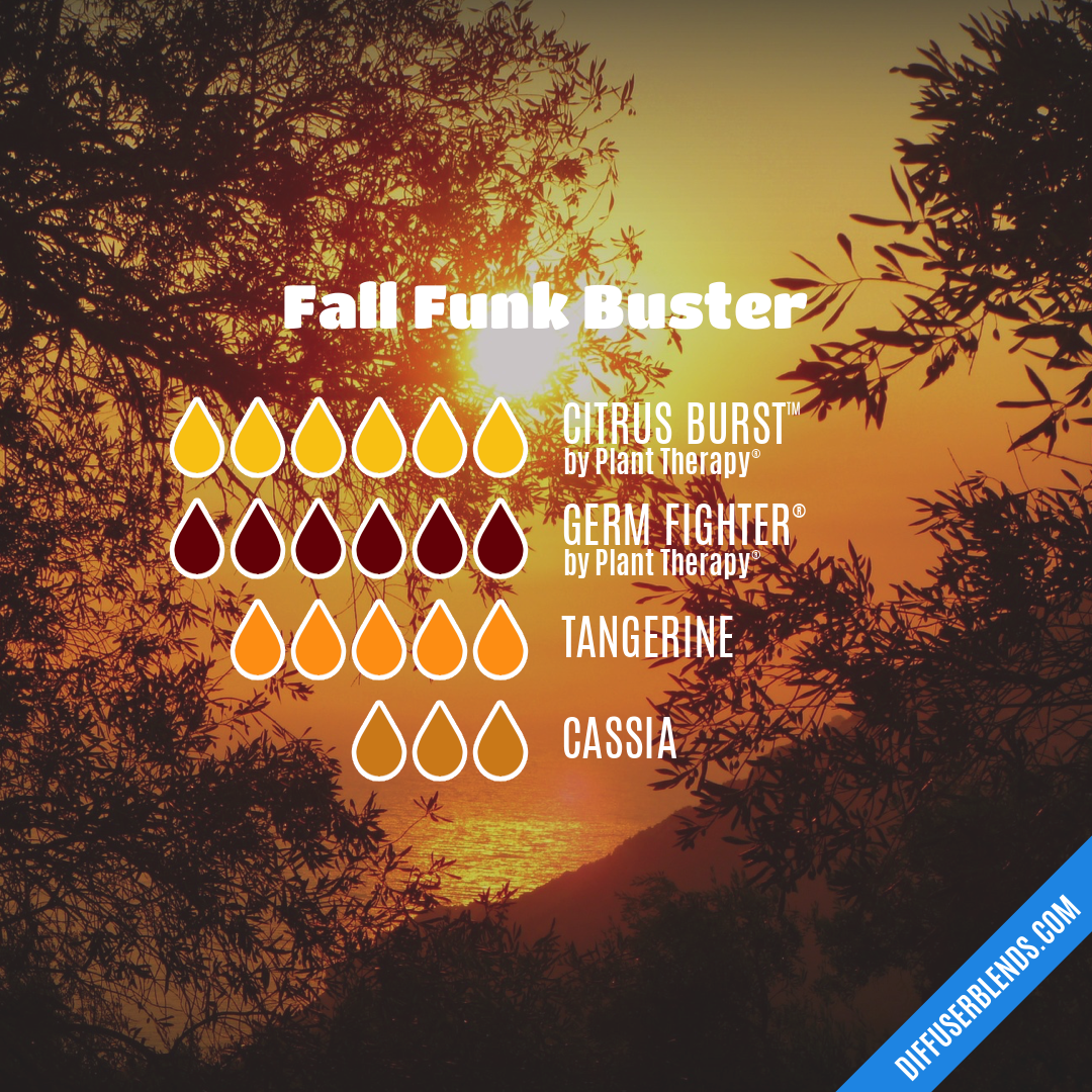 Fall Funk Buster — Essential Oil Diffuser Blend