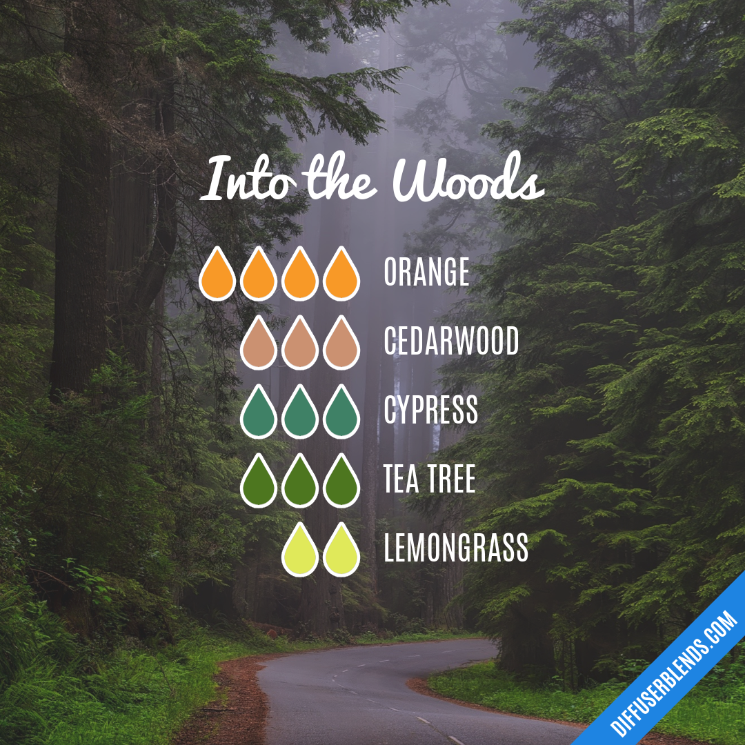 Into the Woods — Essential Oil Diffuser Blend