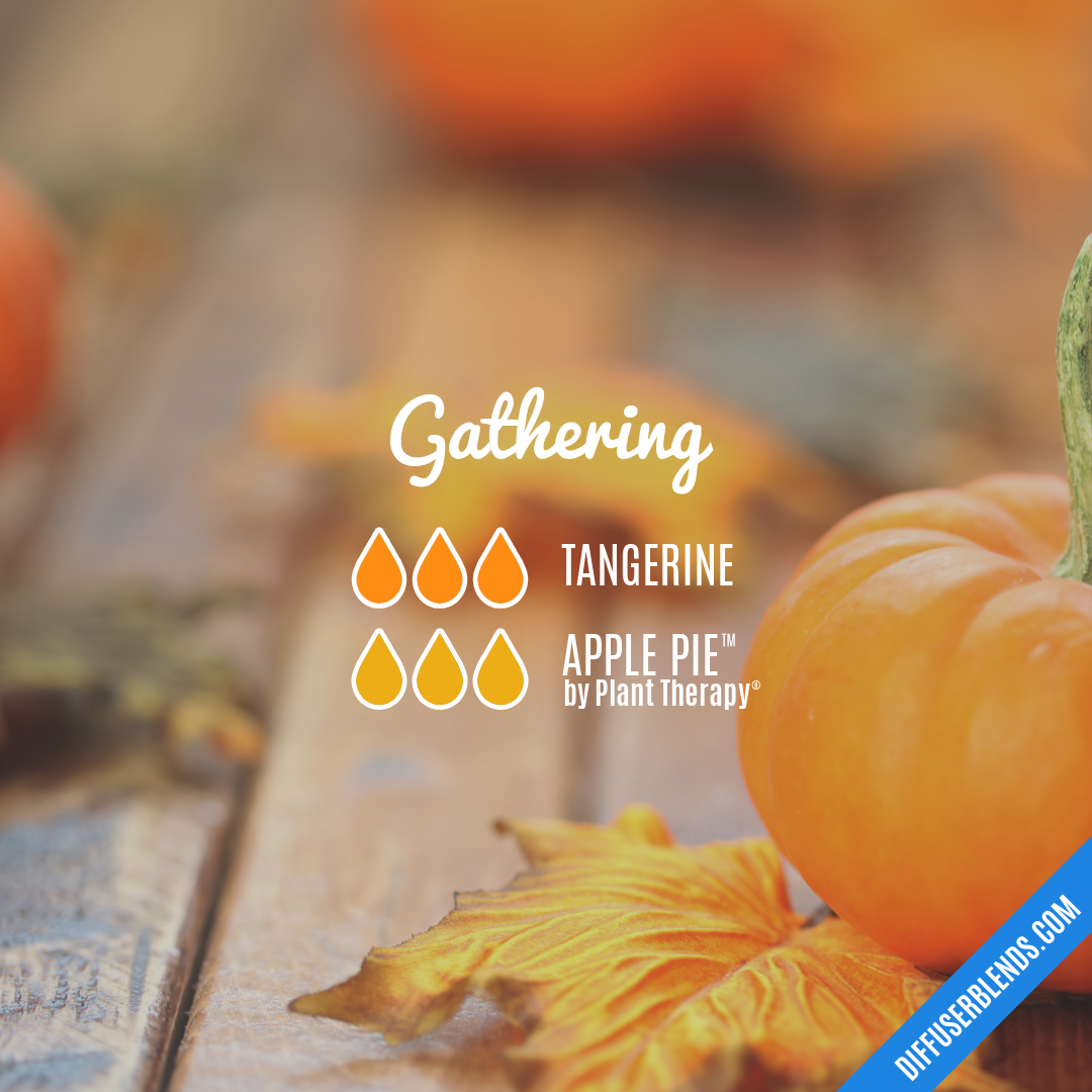 Gathering — Essential Oil Diffuser Blend