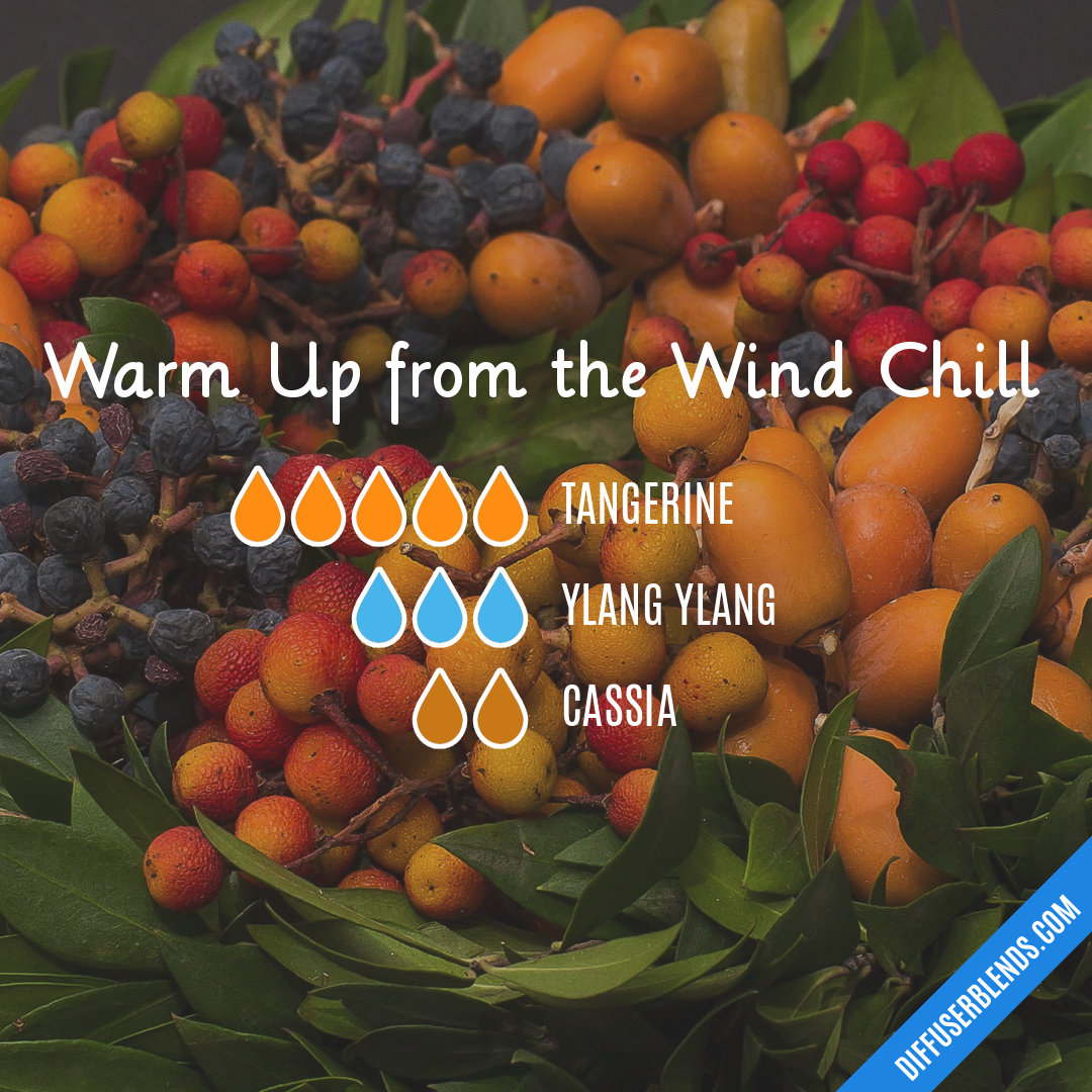 Warm Up from the Wind Chill — Essential Oil Diffuser Blend