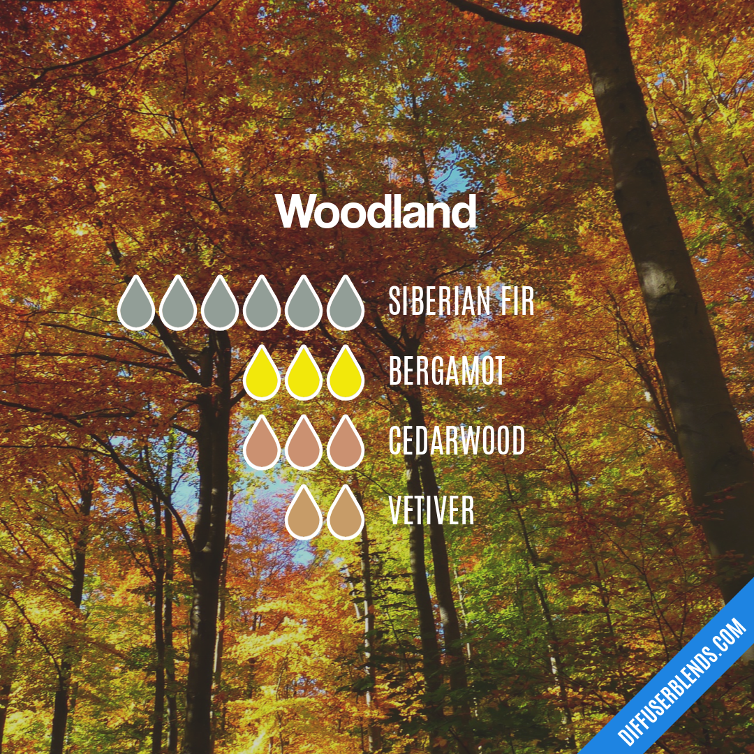 Woodland — Essential Oil Diffuser Blend