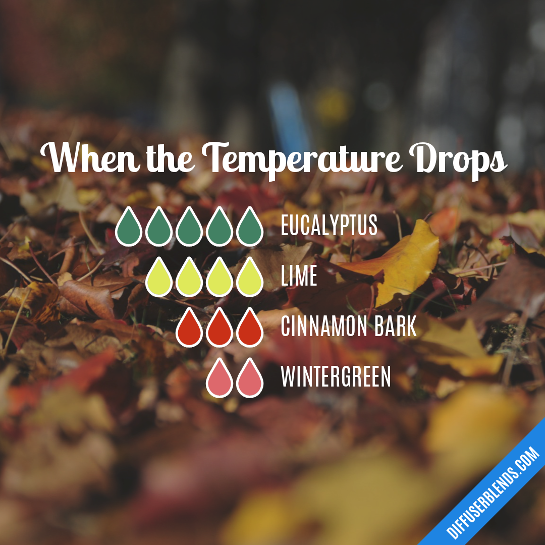 When the Temperature Drops — Essential Oil Diffuser Blend