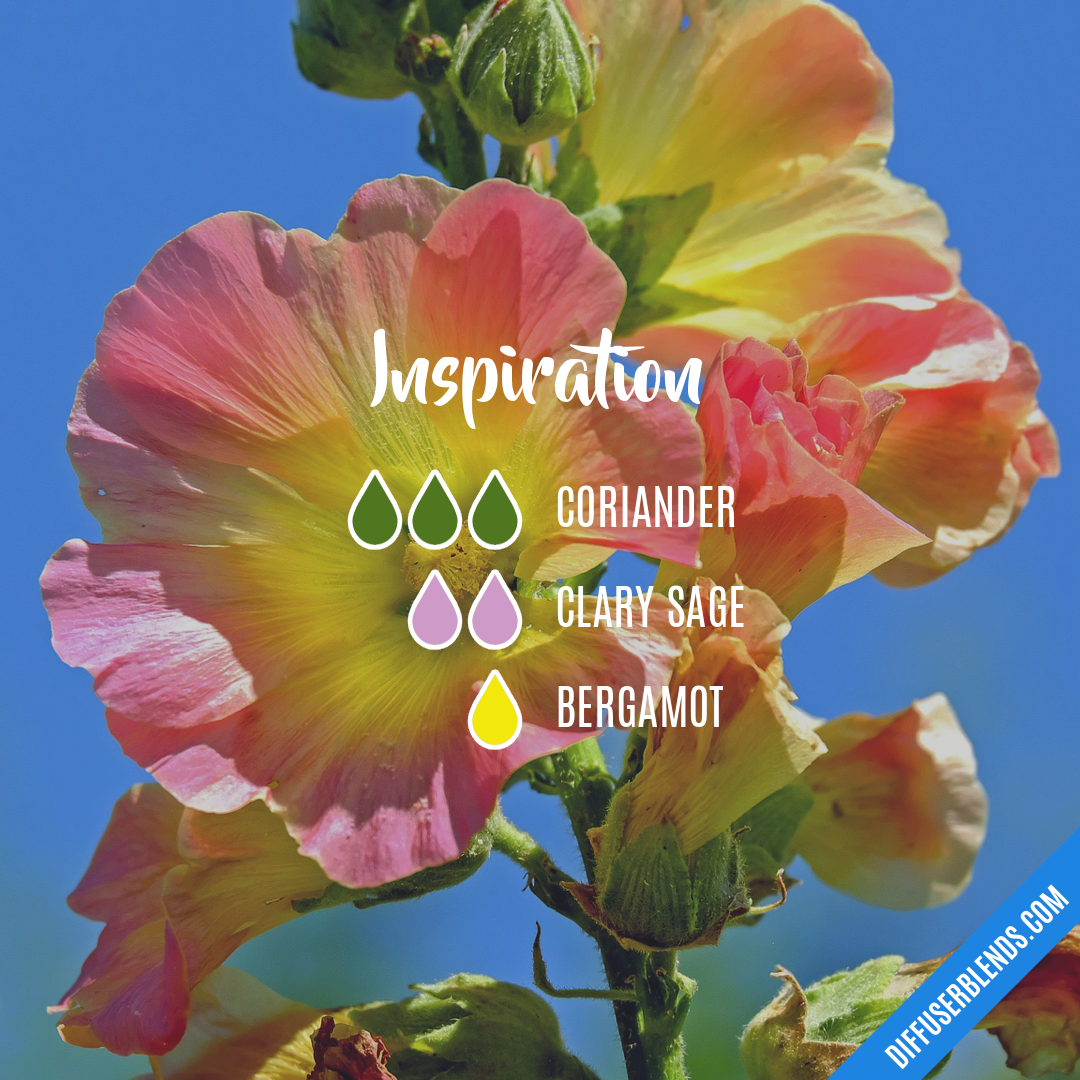 Inspiration — Essential Oil Diffuser Blend