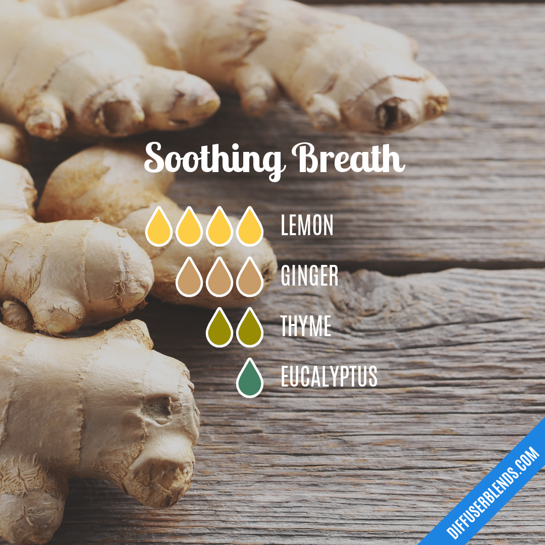 Soothing Breath — Essential Oil Diffuser Blend