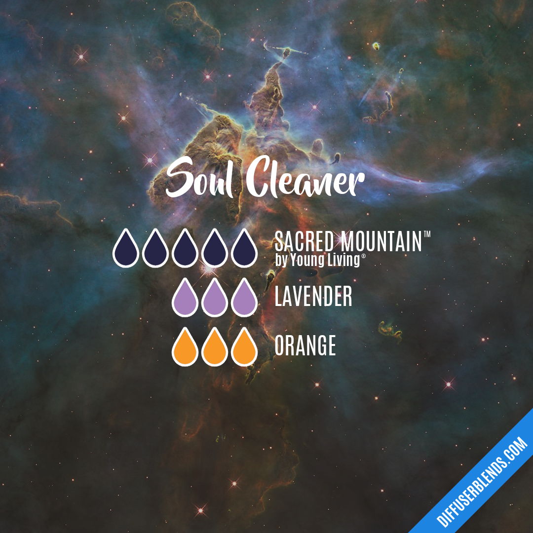 Soul Cleaner — Essential Oil Diffuser Blend