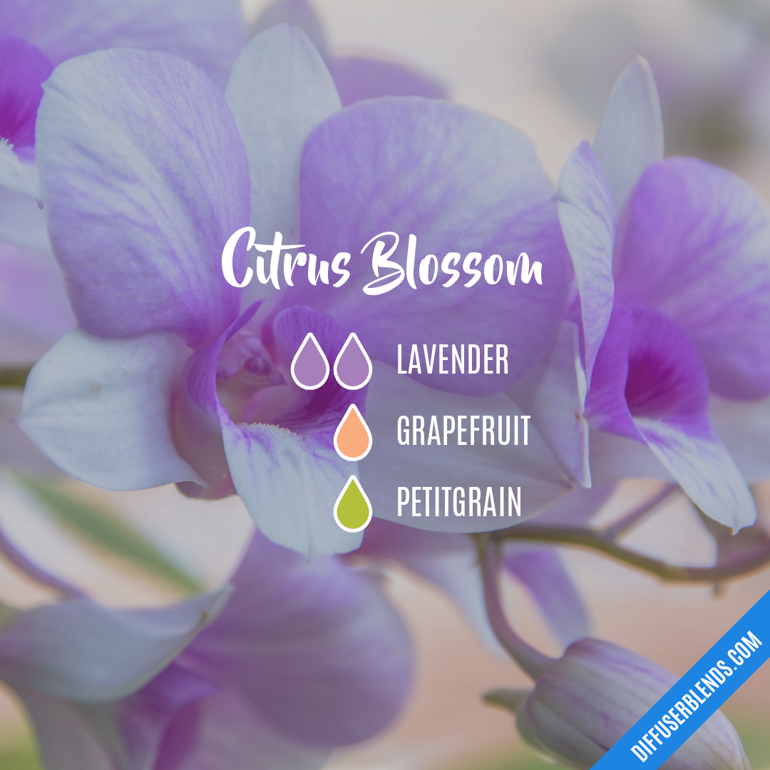 Citrus Blossom — Essential Oil Diffuser Blend