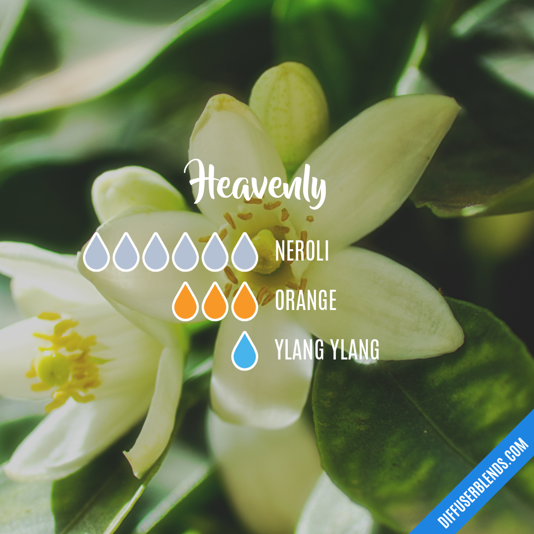 Heavenly — Essential Oil Diffuser Blend