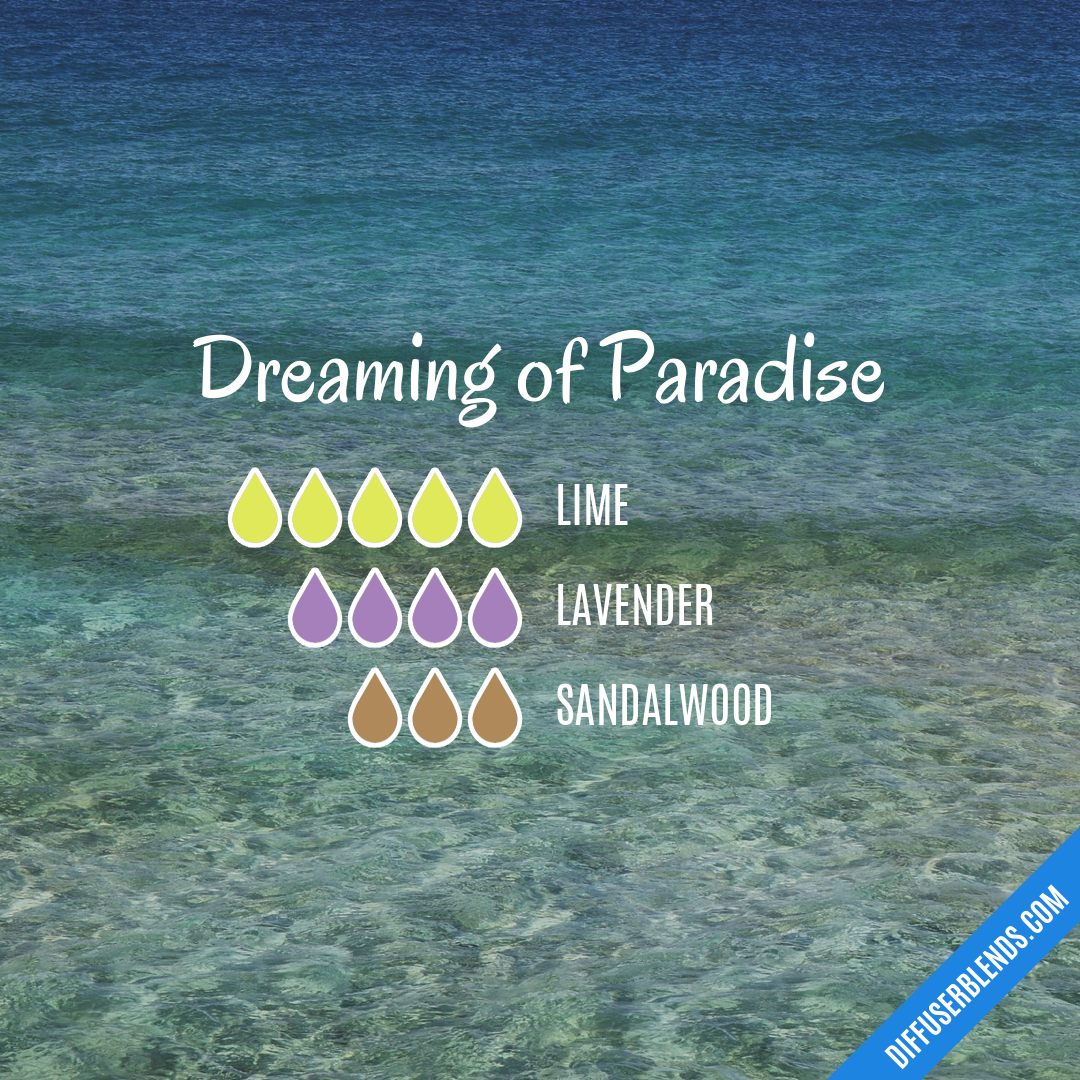 Dreaming of Paradise | DiffuserBlends.com