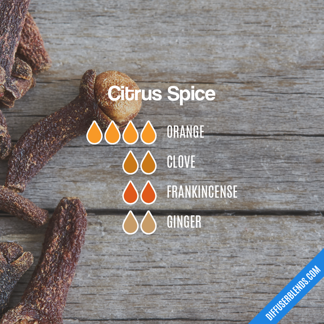 Citrus Spice — Essential Oil Diffuser Blend