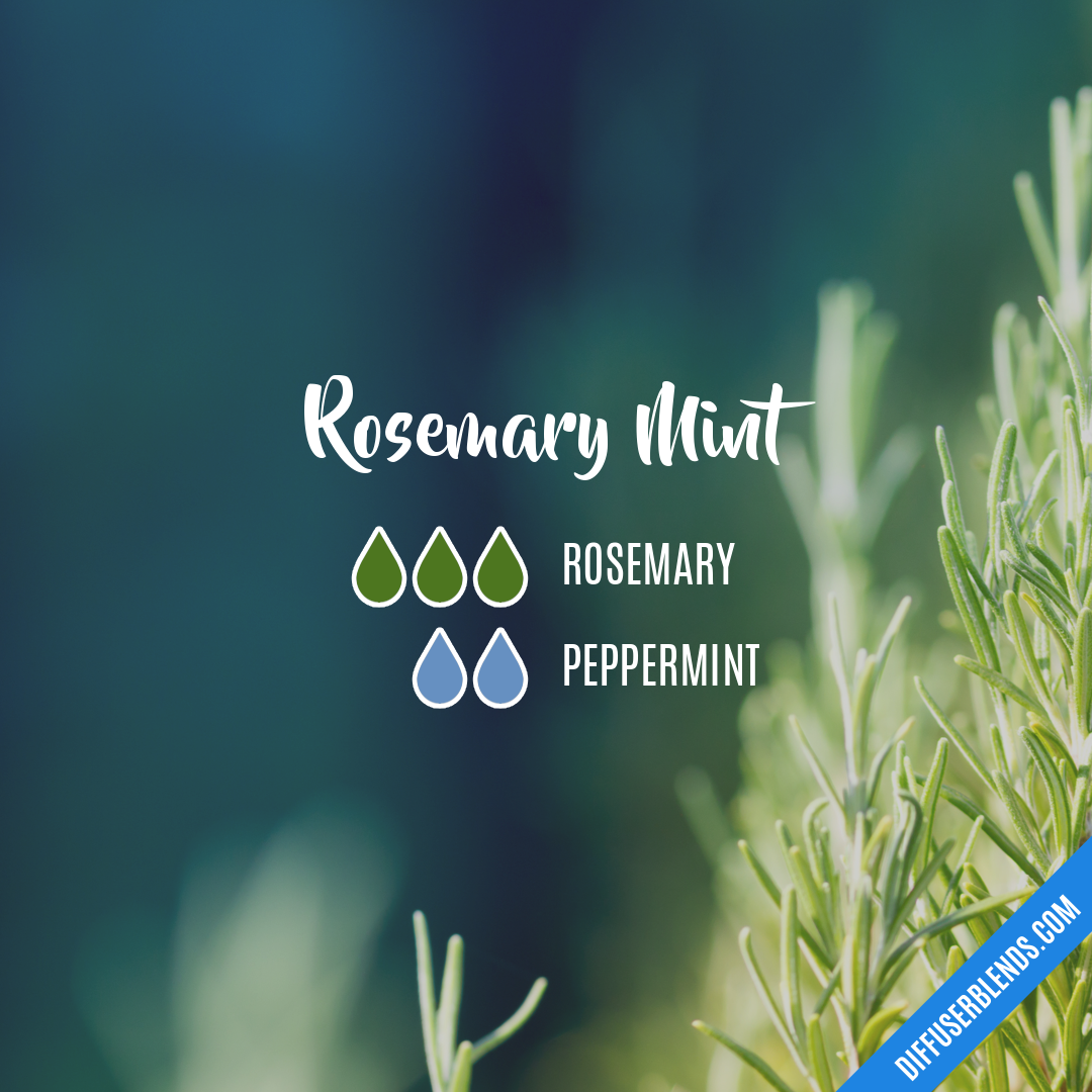 Rosemary Mint — Essential Oil Diffuser Blend