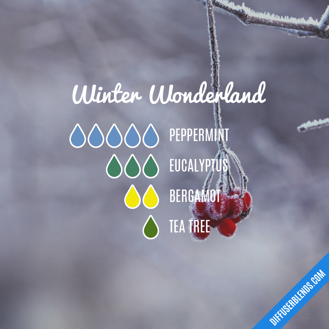 Winter Wonderland — Essential Oil Diffuser Blend