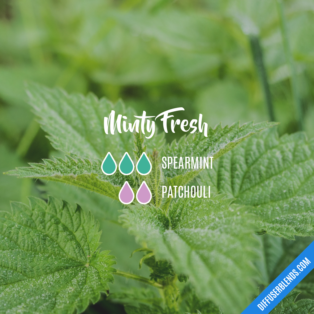 Minty Fresh — Essential Oil Diffuser Blend