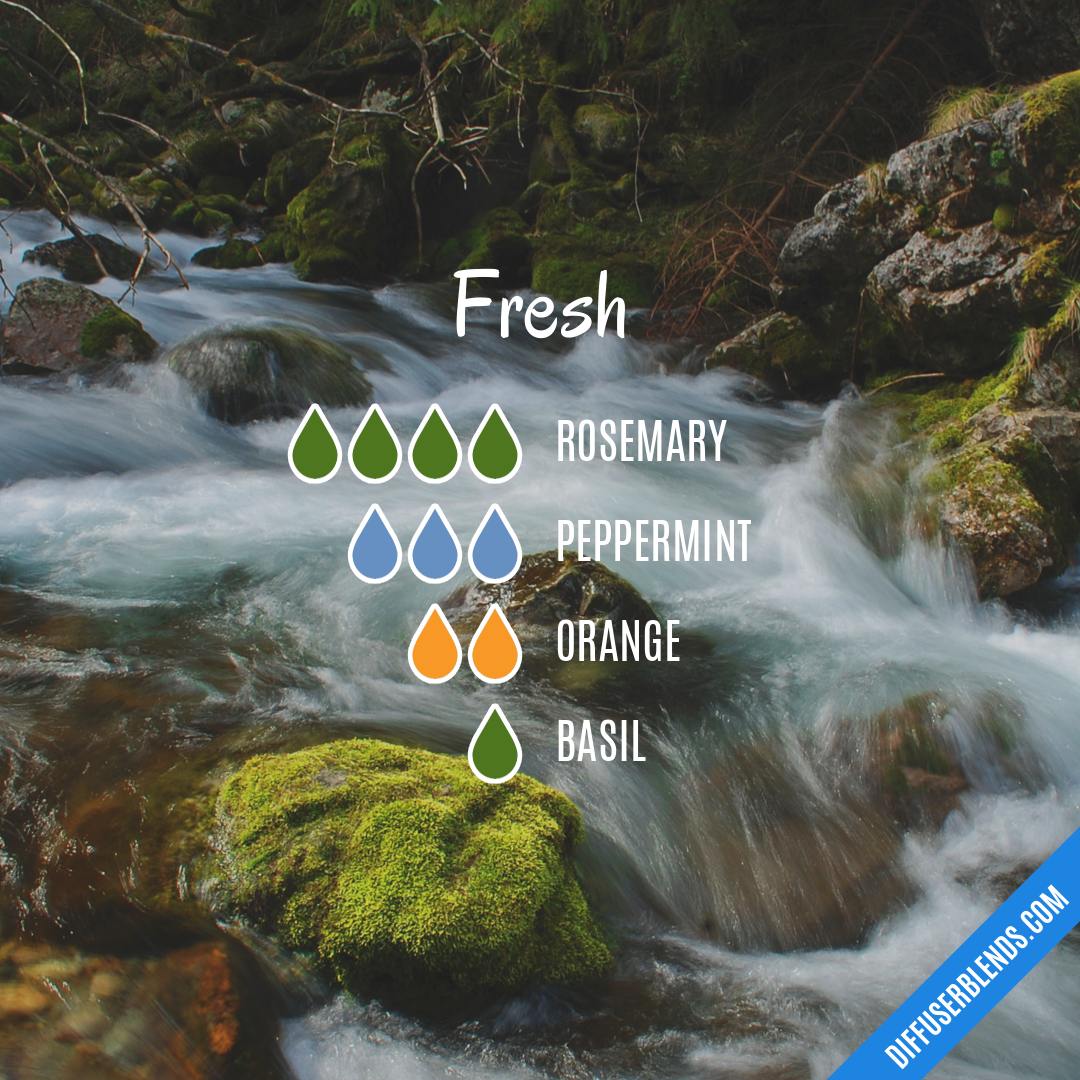 Fresh — Essential Oil Diffuser Blend