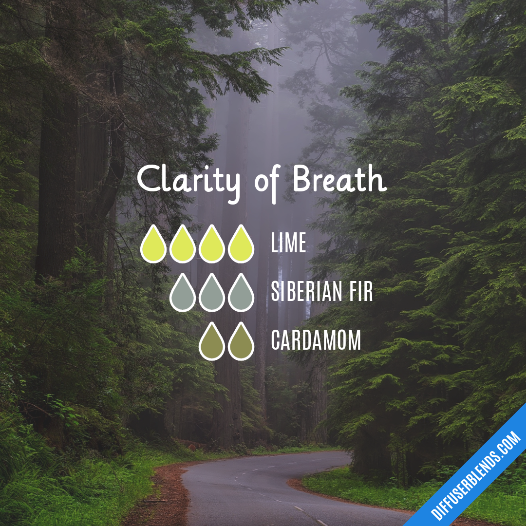 Clarity of Breath — Essential Oil Diffuser Blend