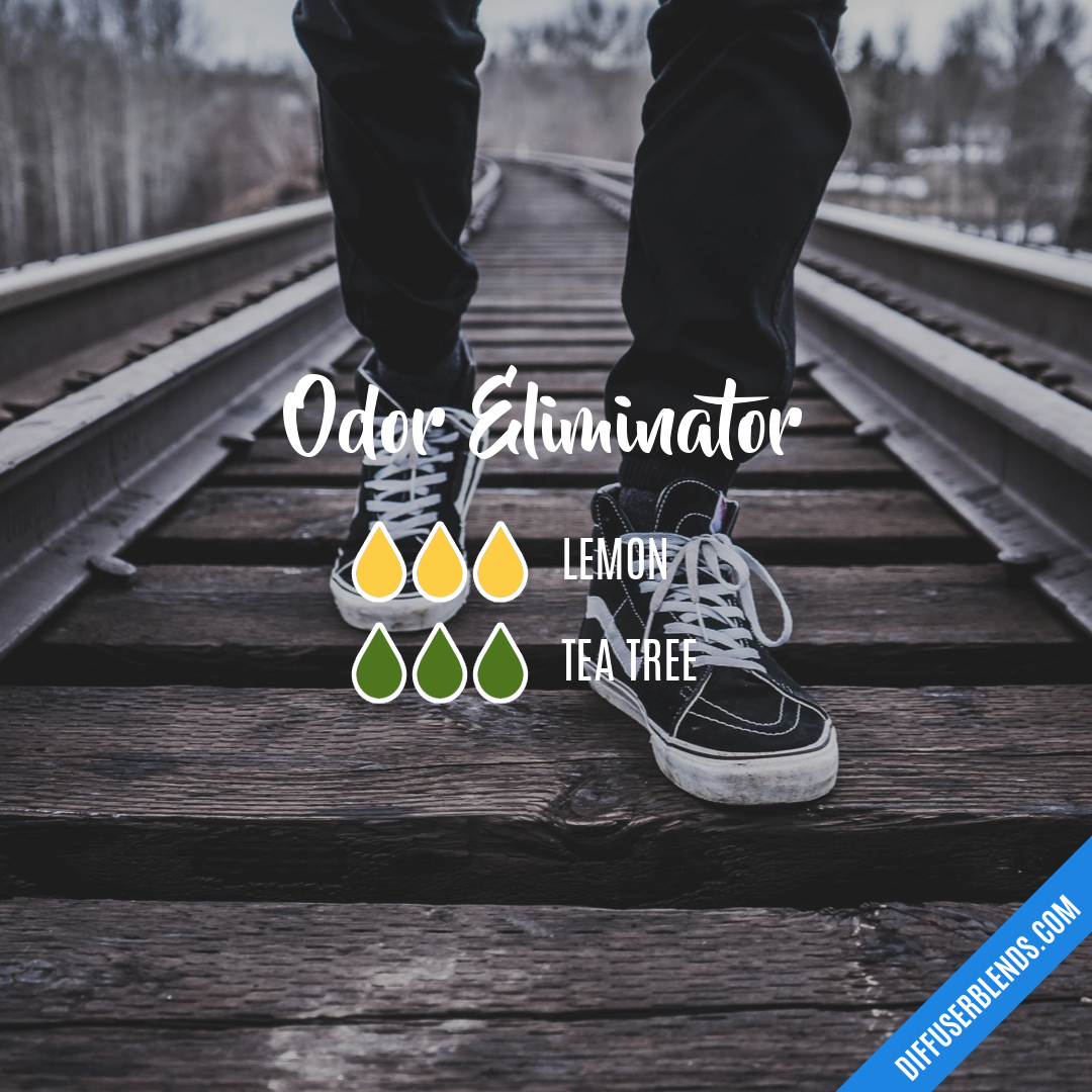 Odor Eliminator — Essential Oil Diffuser Blend