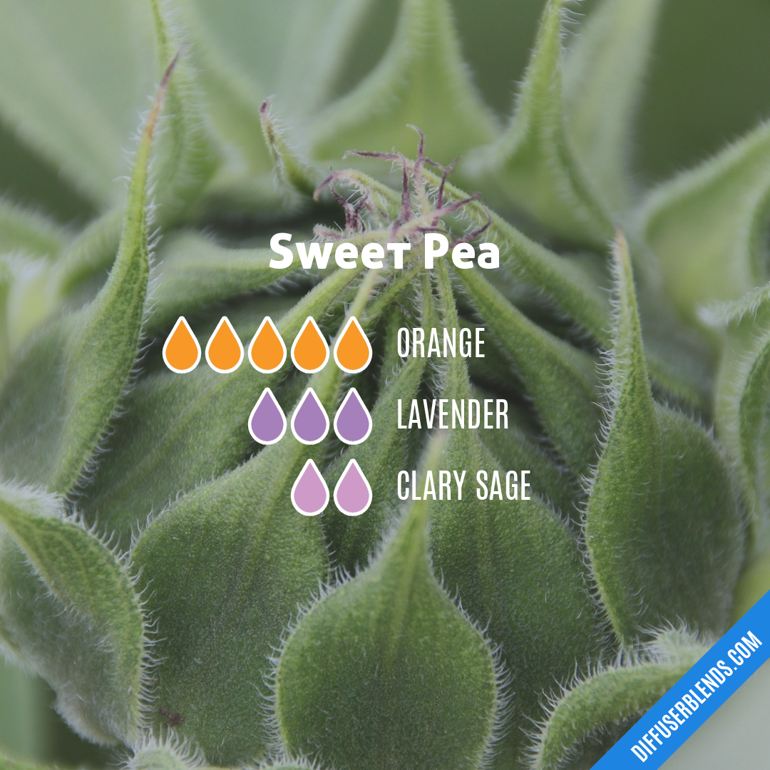 Sweet Pea Diffuser Blend  Essential oil diffuser blends recipes, Essential  oil fragrance, Doterra diffuser blends
