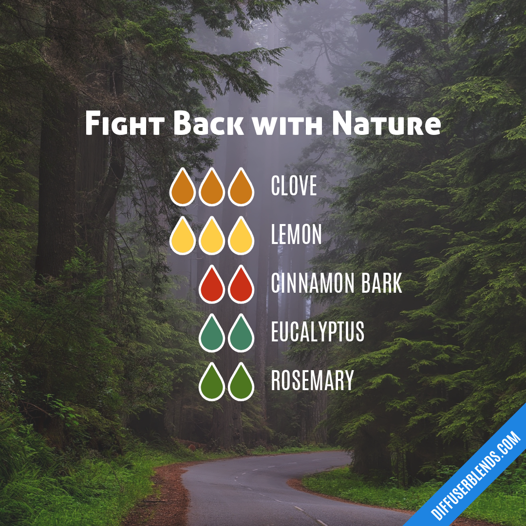 Fight Back with Nature — Essential Oil Diffuser Blend