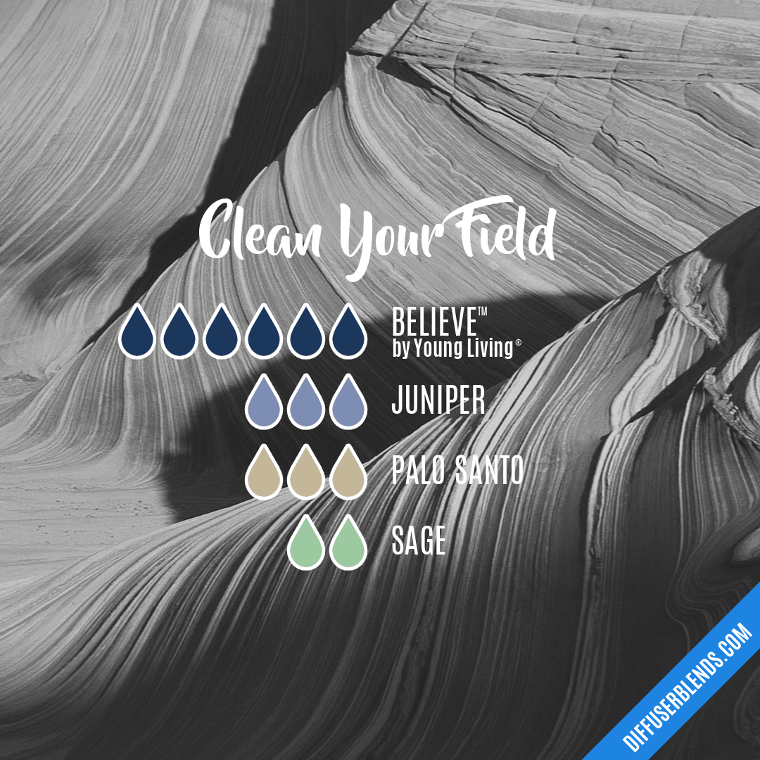 Clean Your Field — Essential Oil Diffuser Blend