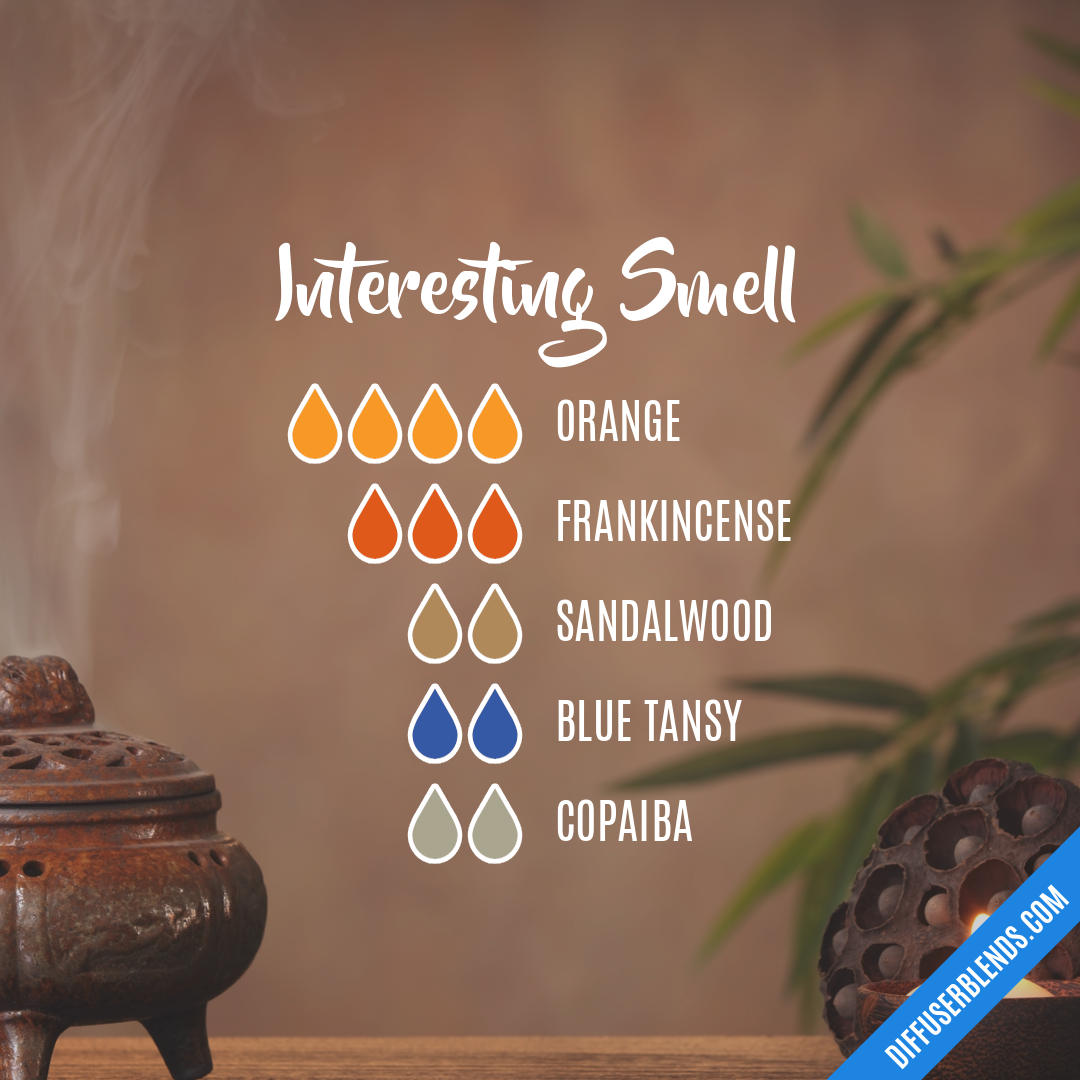 Interesting Smell — Essential Oil Diffuser Blend