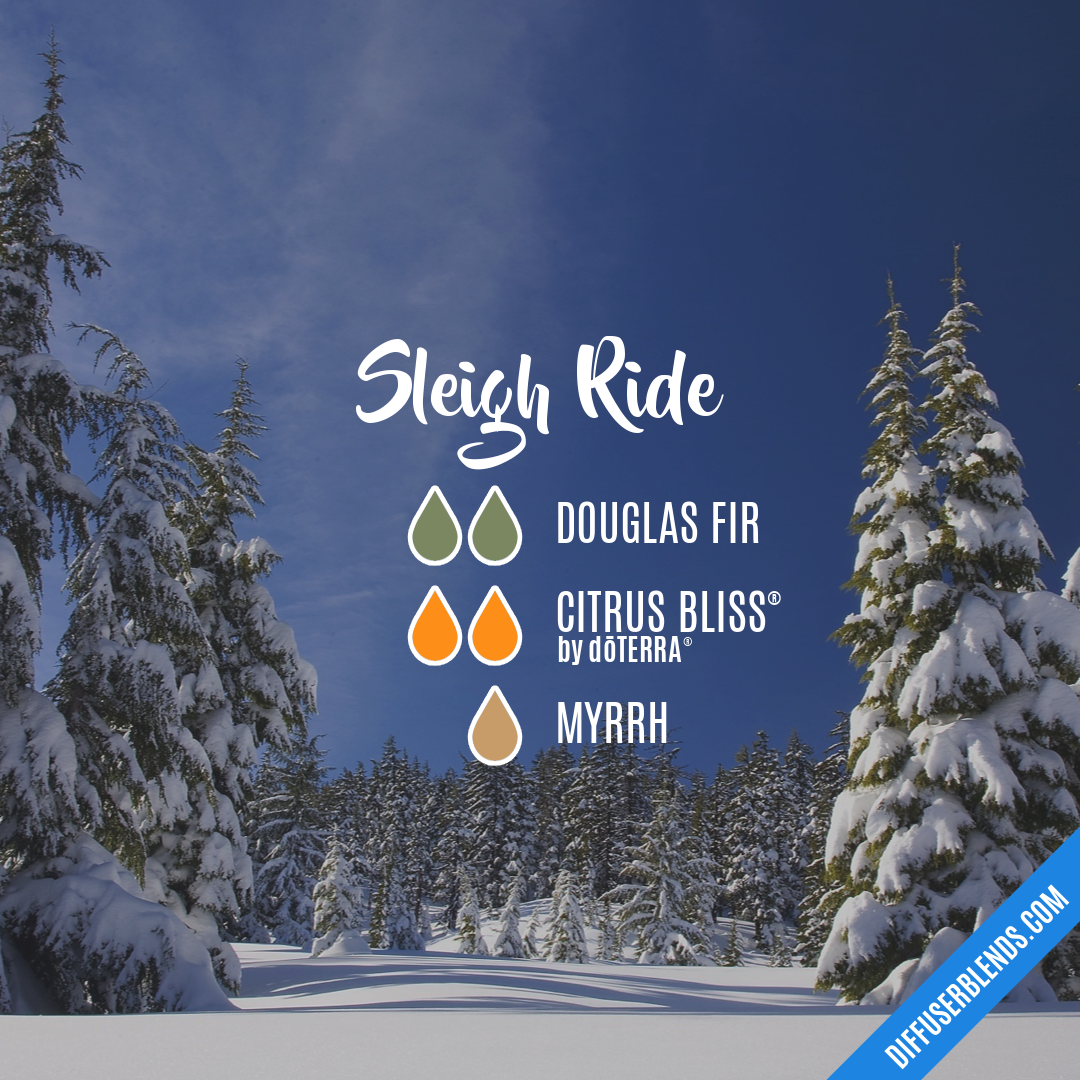 Sleigh Ride — Essential Oil Diffuser Blend