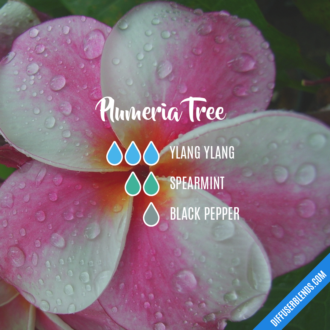 Plumeria Tree — Essential Oil Diffuser Blend