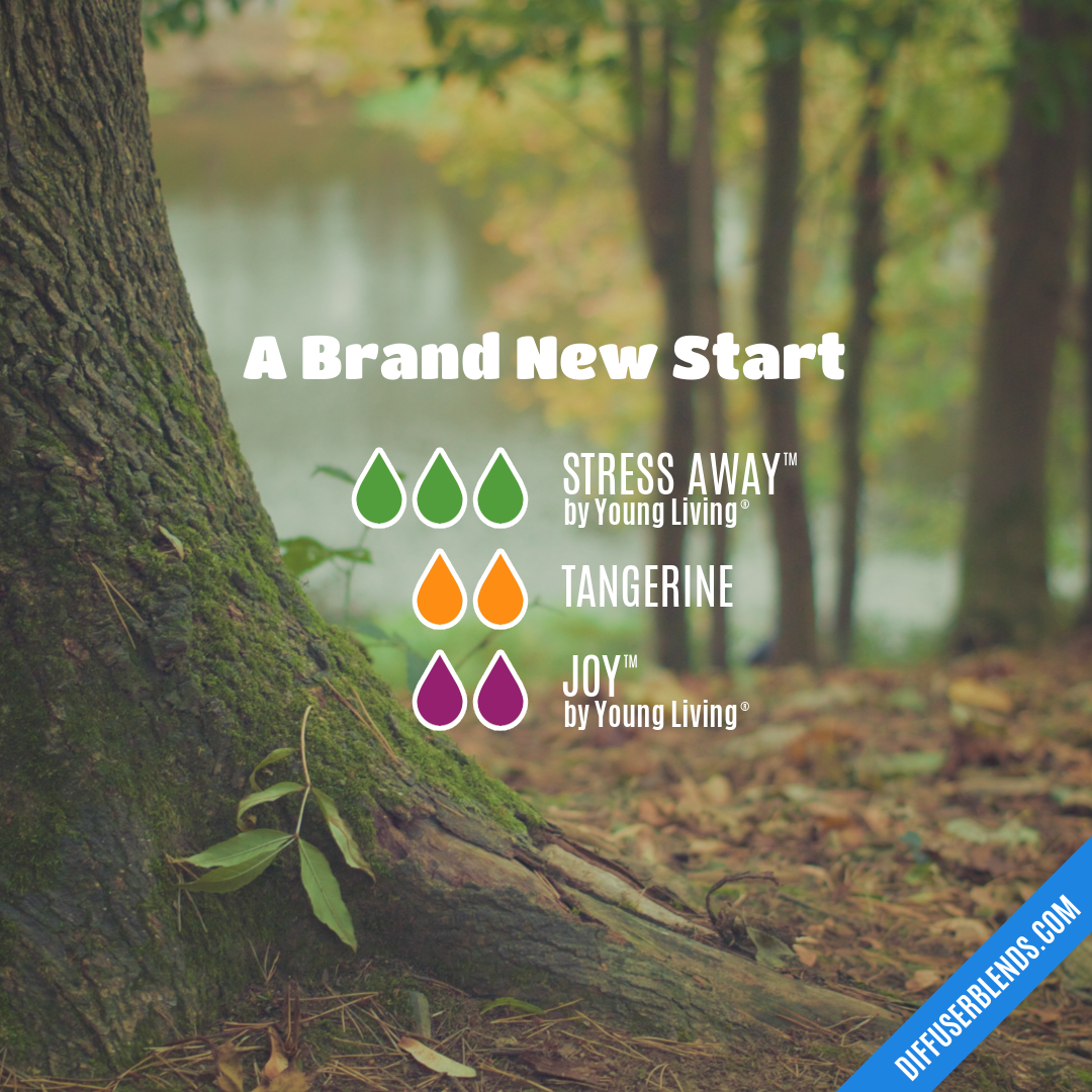 A Brand New Start — Essential Oil Diffuser Blend