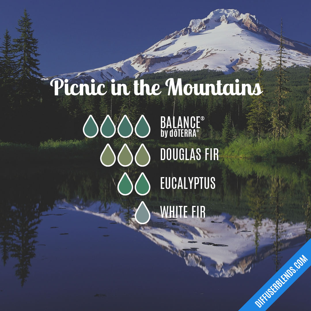 Picnic in the Mountains — Essential Oil Diffuser Blend