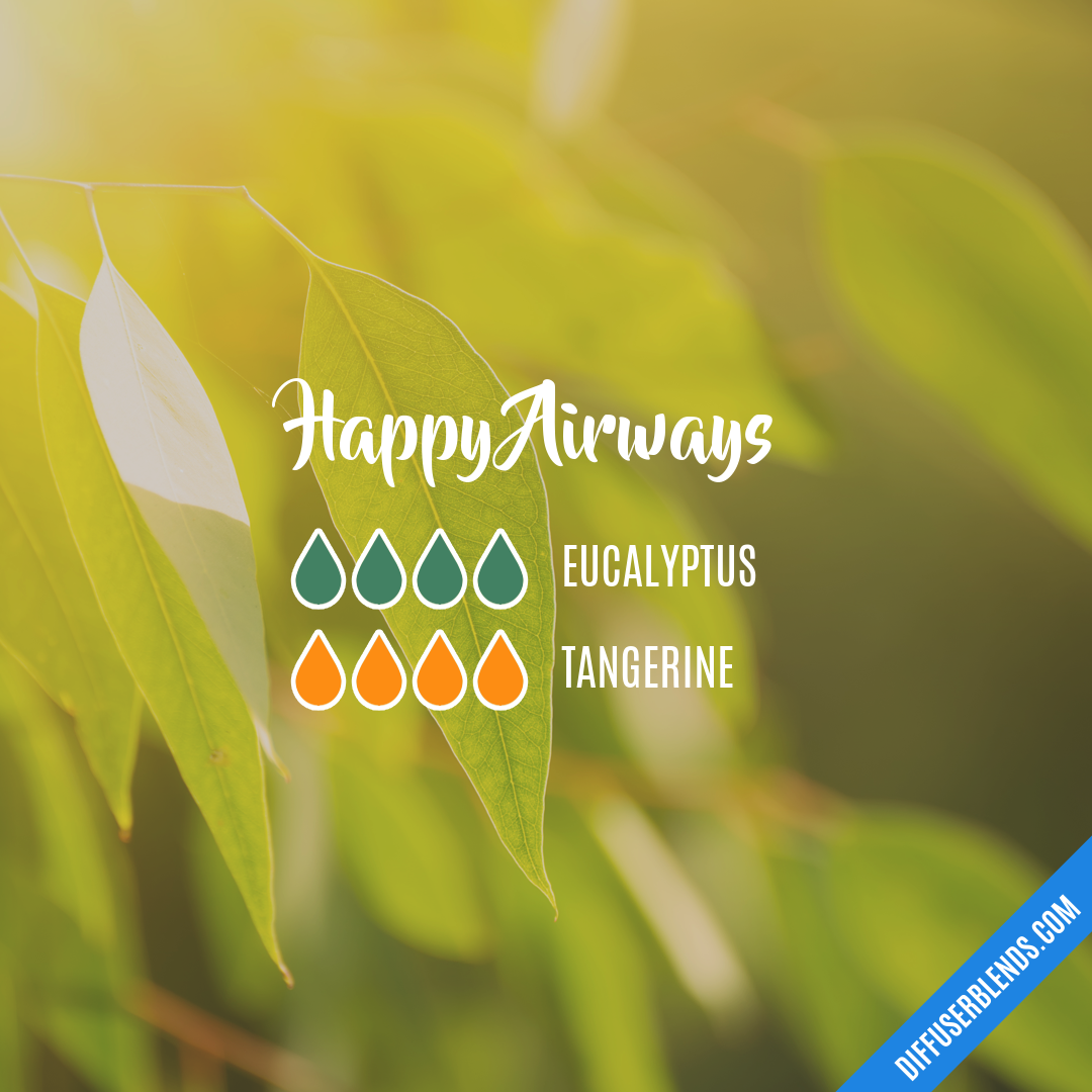 Happy Airways — Essential Oil Diffuser Blend