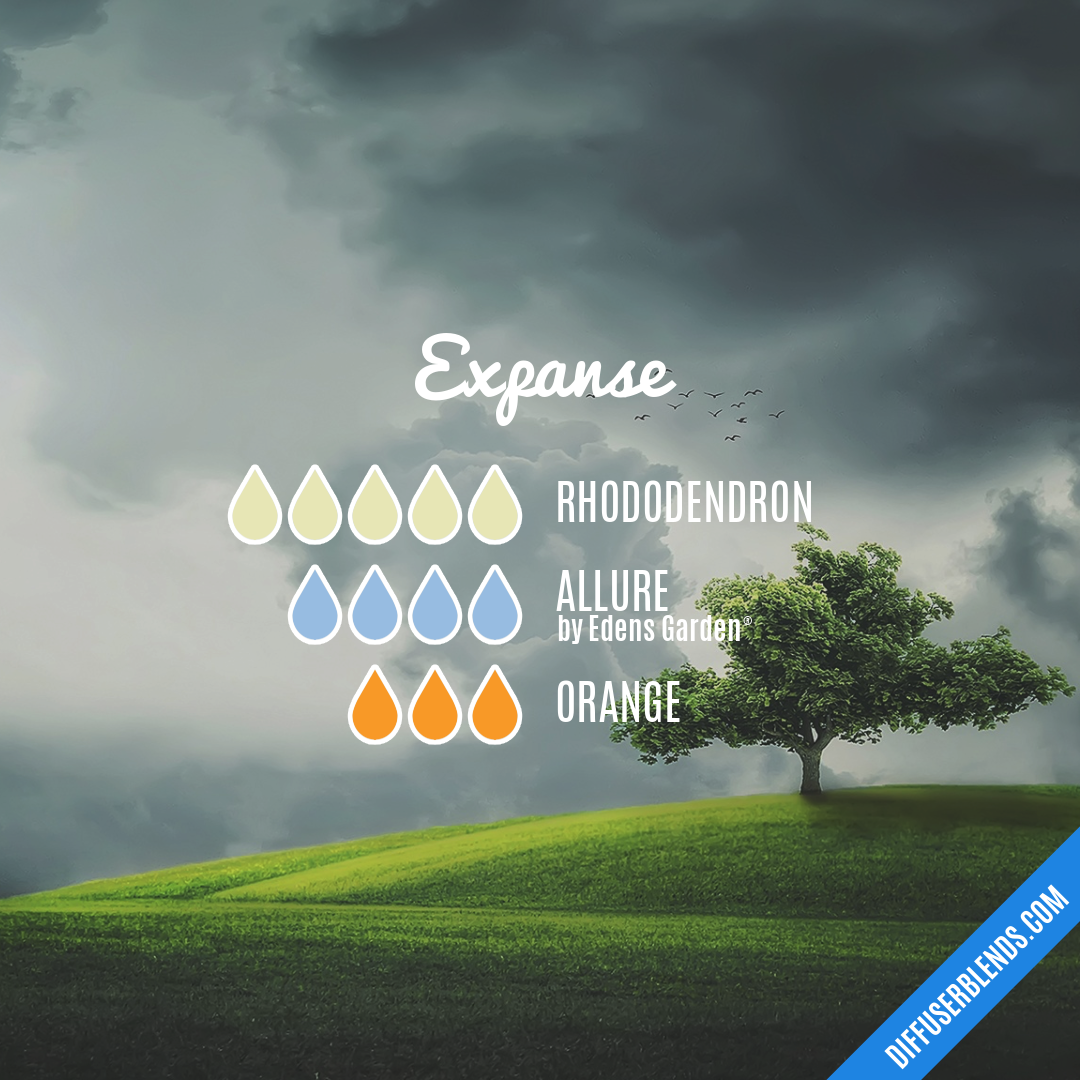 Expanse — Essential Oil Diffuser Blend