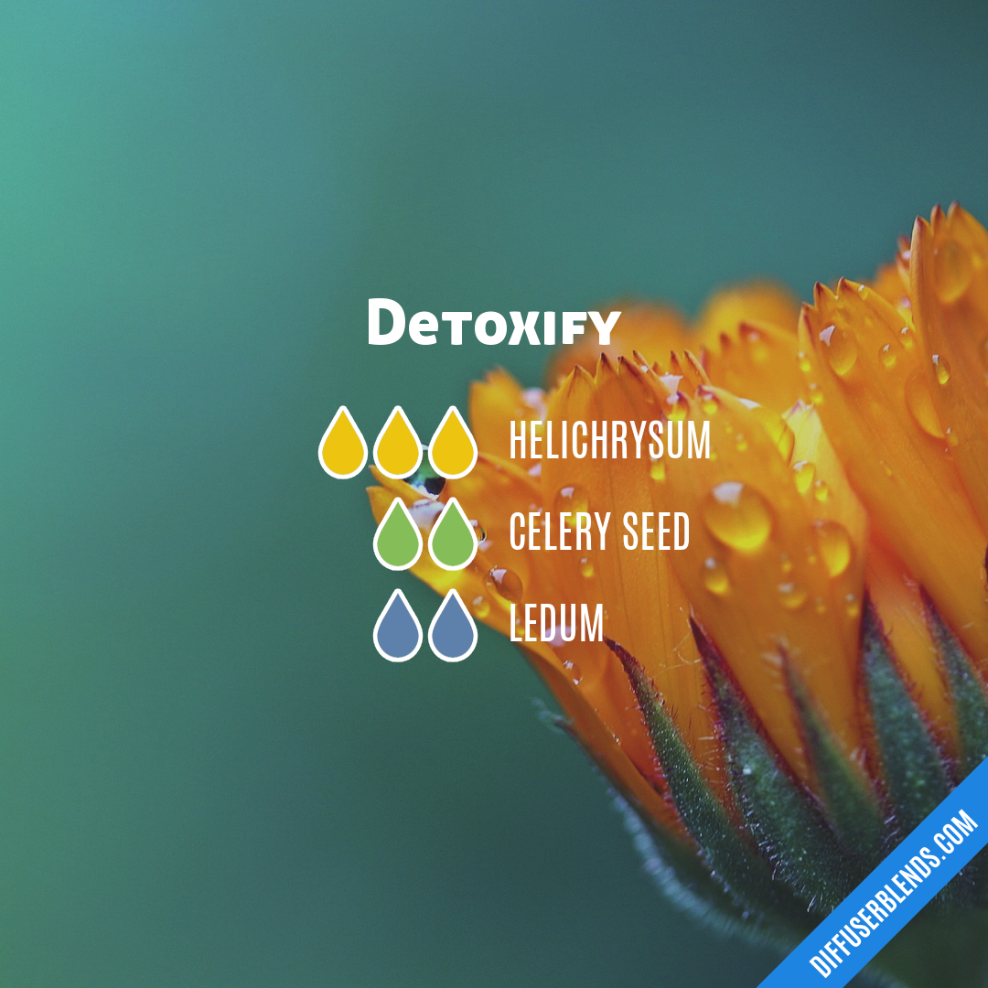 Detoxify — Essential Oil Diffuser Blend