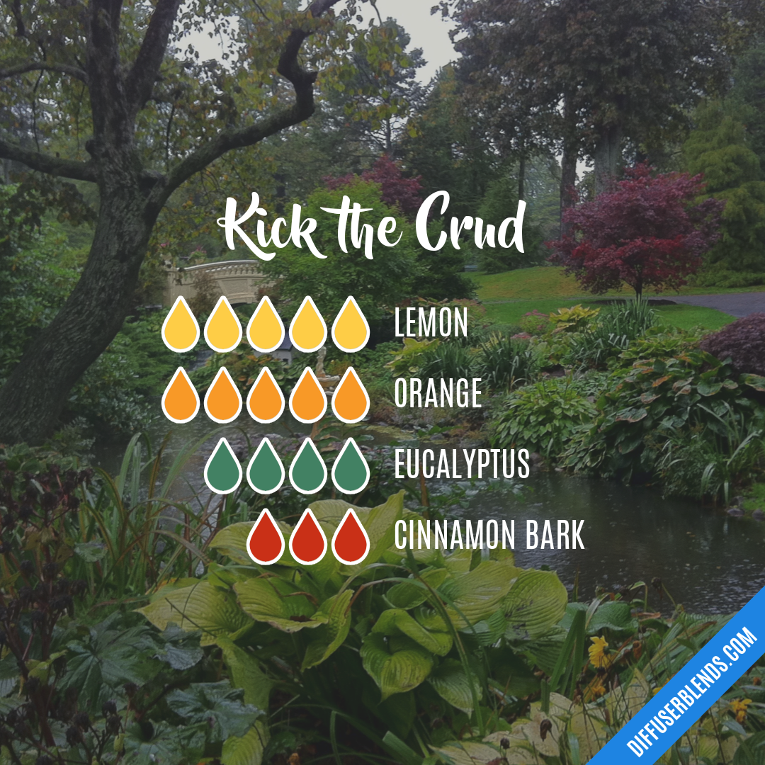 Kick the Crud — Essential Oil Diffuser Blend