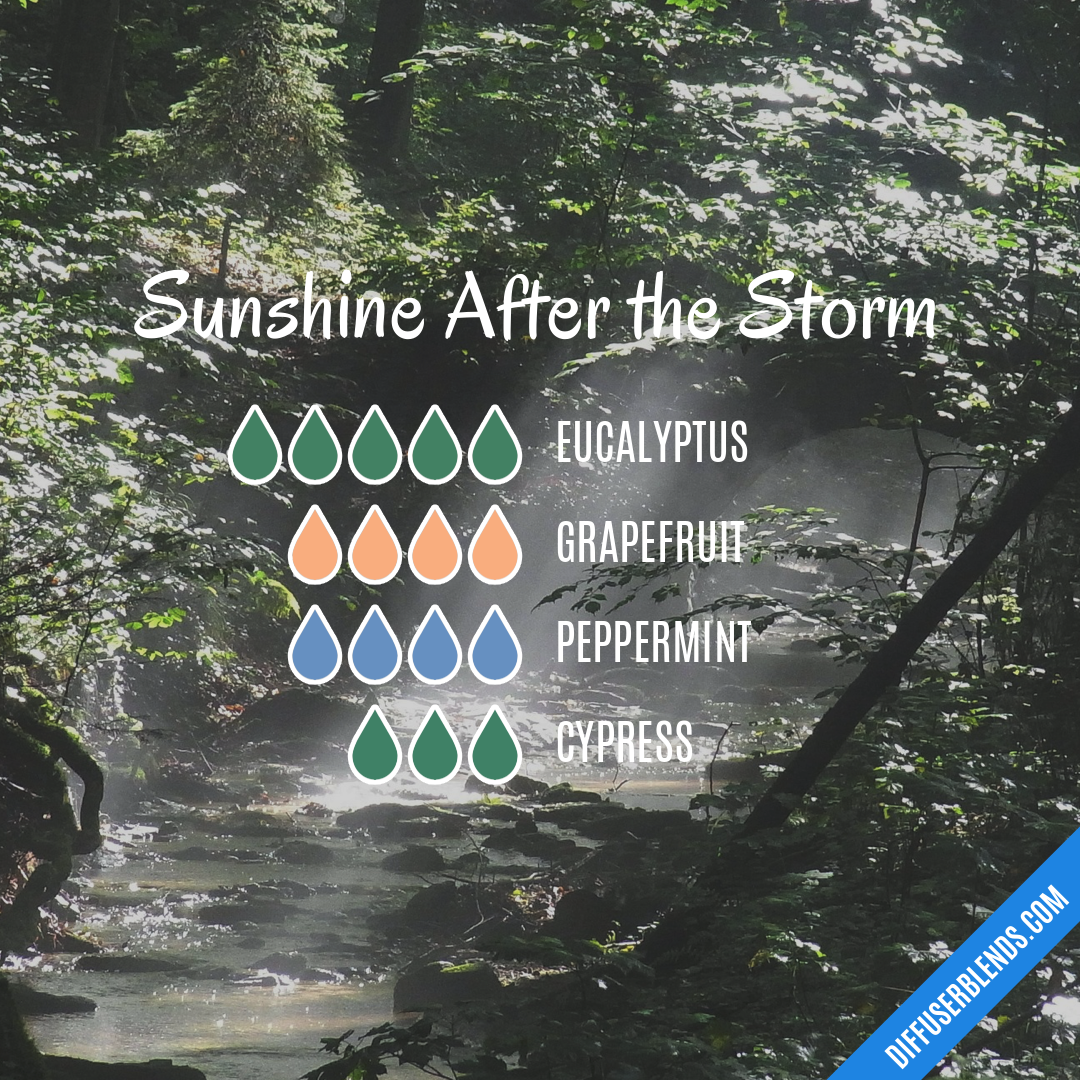 Sunshine After the Storm — Essential Oil Diffuser Blend