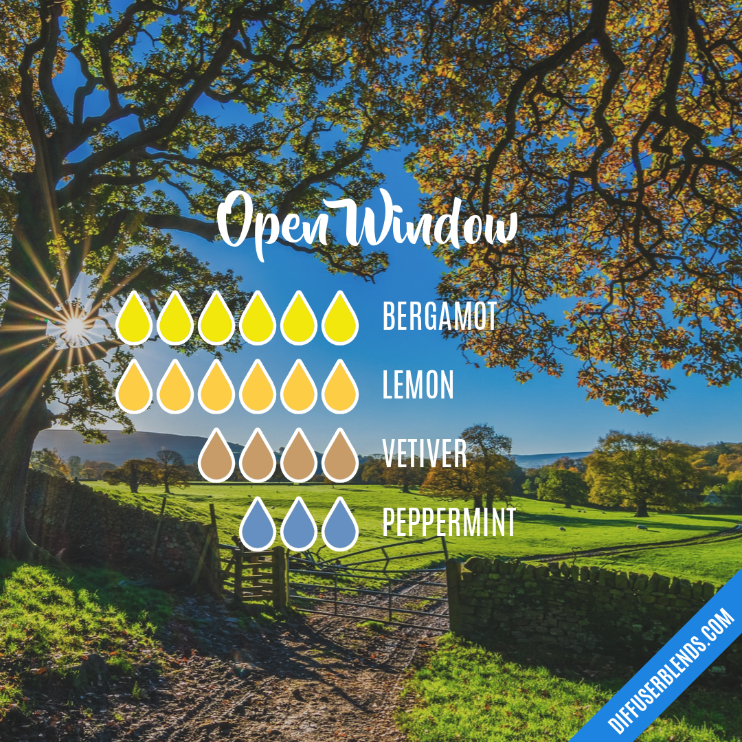 Open Window — Essential Oil Diffuser Blend