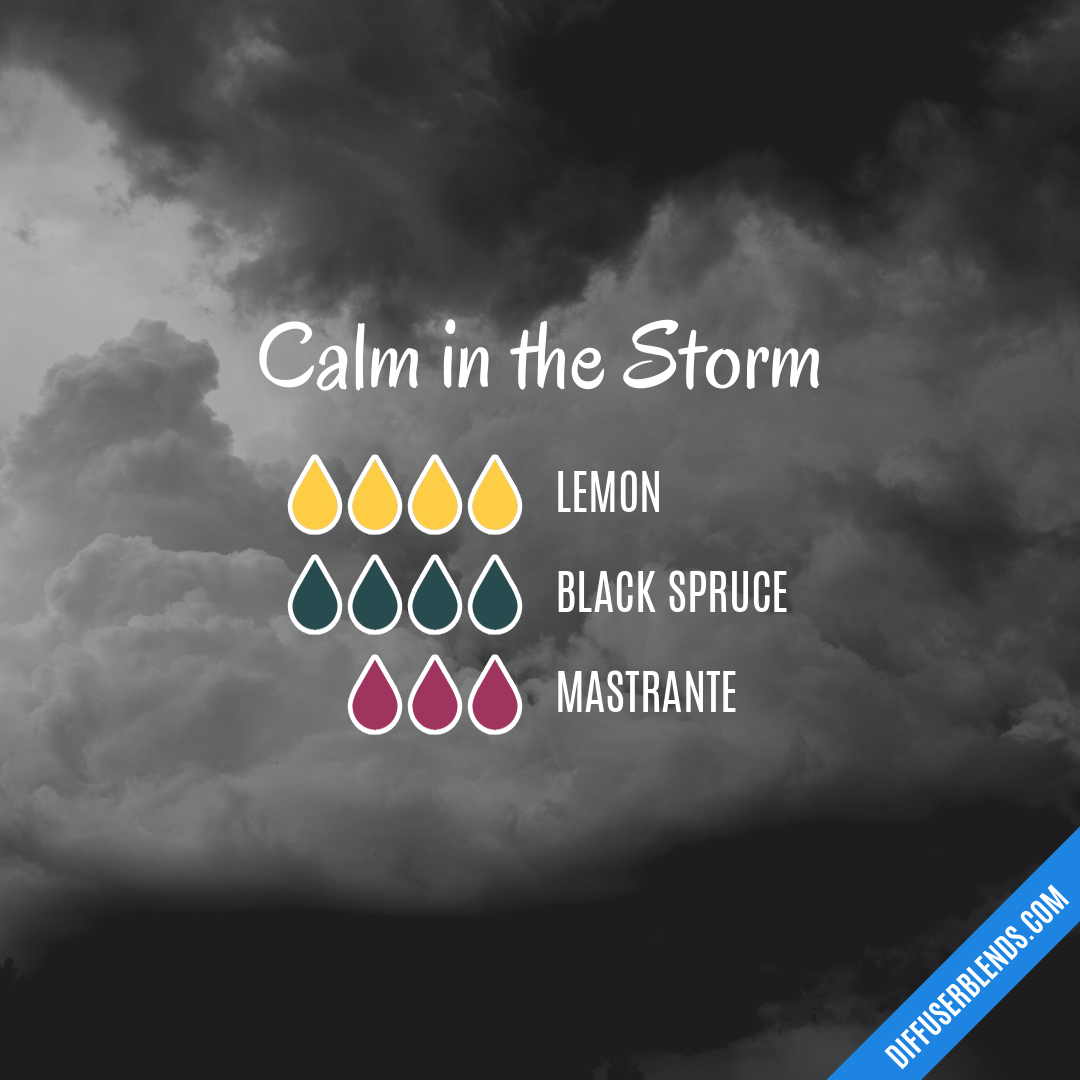 Calm in the Storm — Essential Oil Diffuser Blend