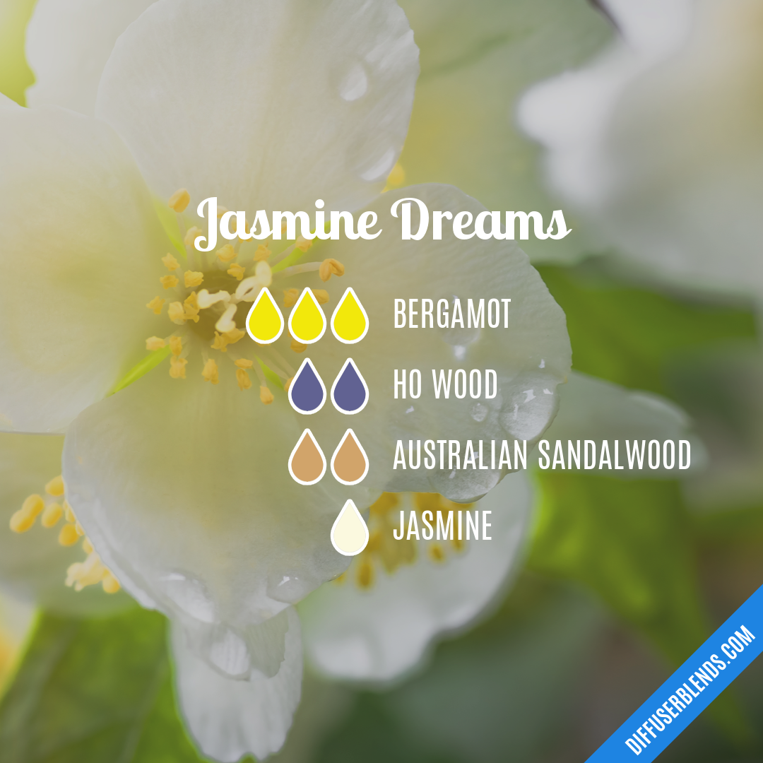 Jasmine Dreams | DiffuserBlends.com