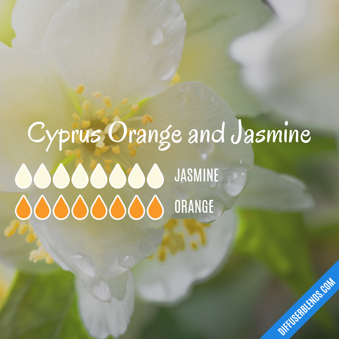 Cyprus Orange and Jasmine — Essential Oil Diffuser Blend