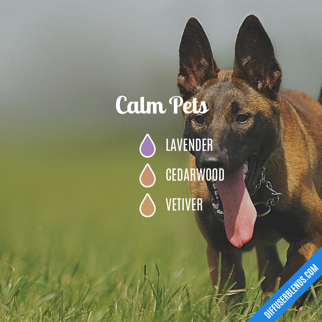 Calm Pets — Essential Oil Diffuser Blend