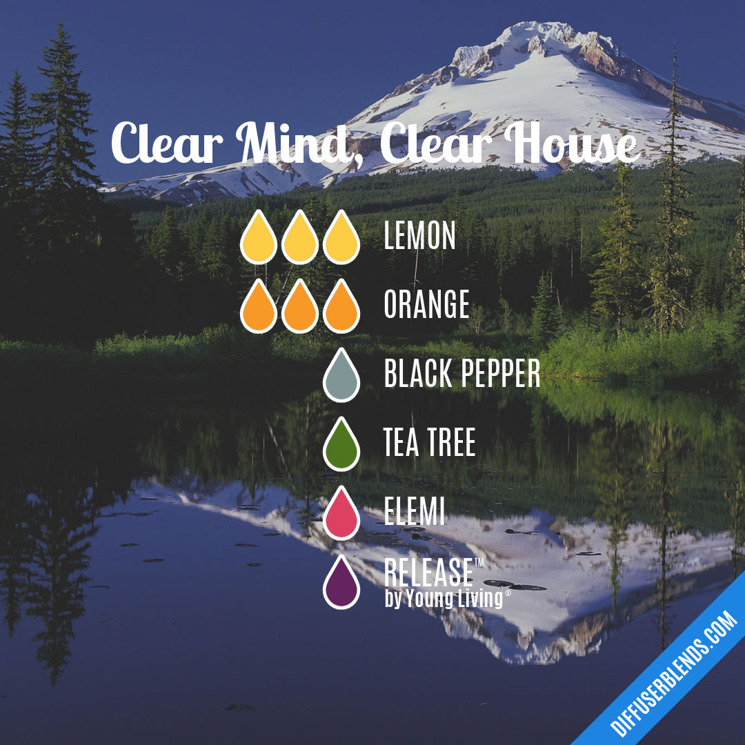 Clear Mind, Clear House — Essential Oil Diffuser Blend