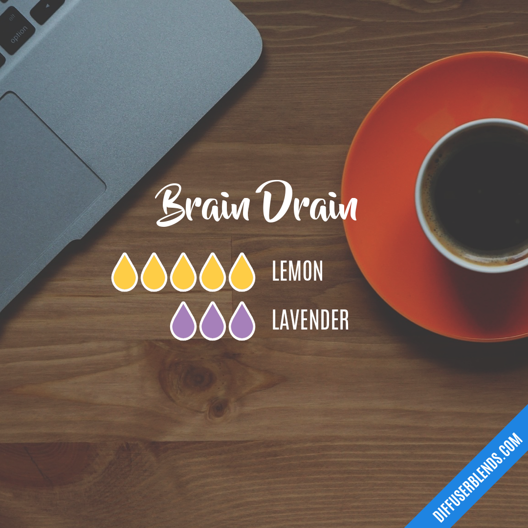 Brain Drain — Essential Oil Diffuser Blend