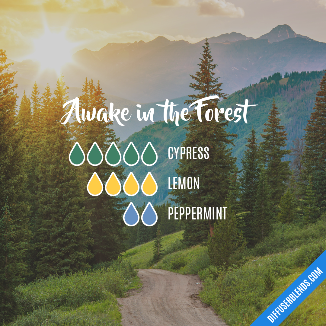 Awake in the Forest | DiffuserBlends.com