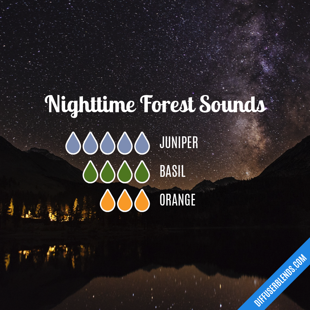 Nighttime Forest Sounds — Essential Oil Diffuser Blend