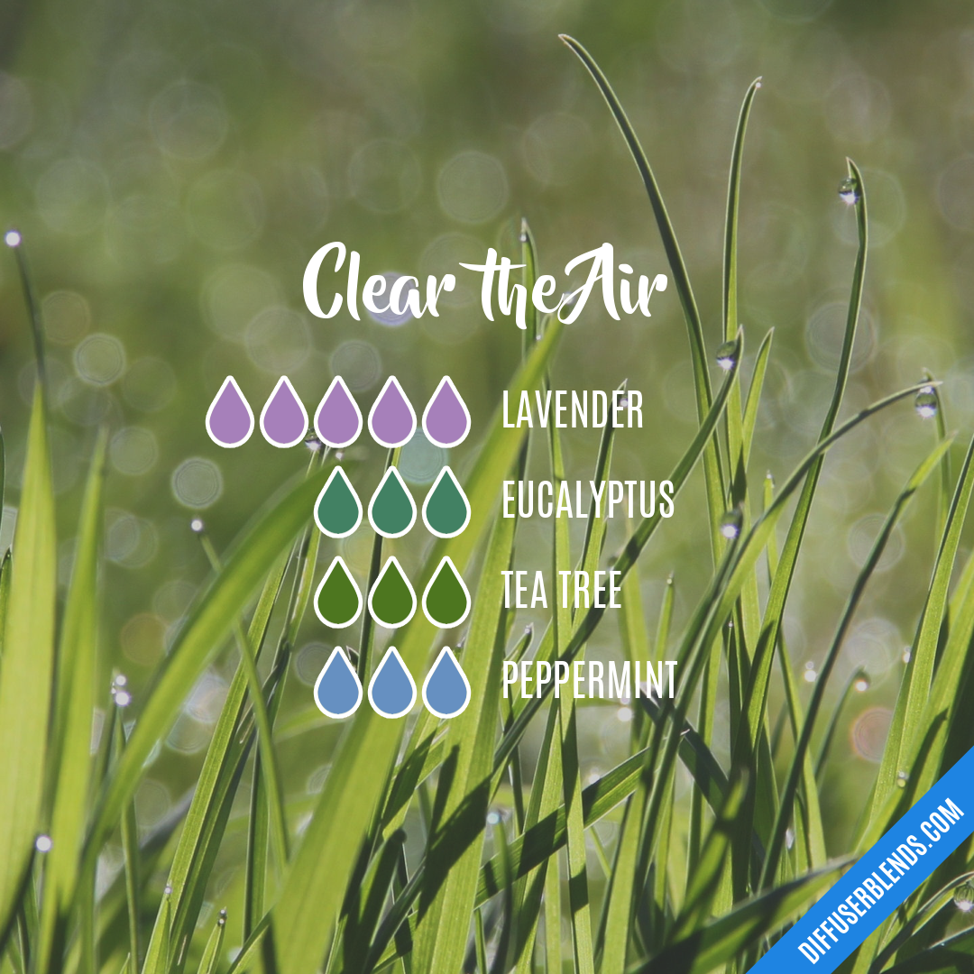 Clear the Air — Essential Oil Diffuser Blend