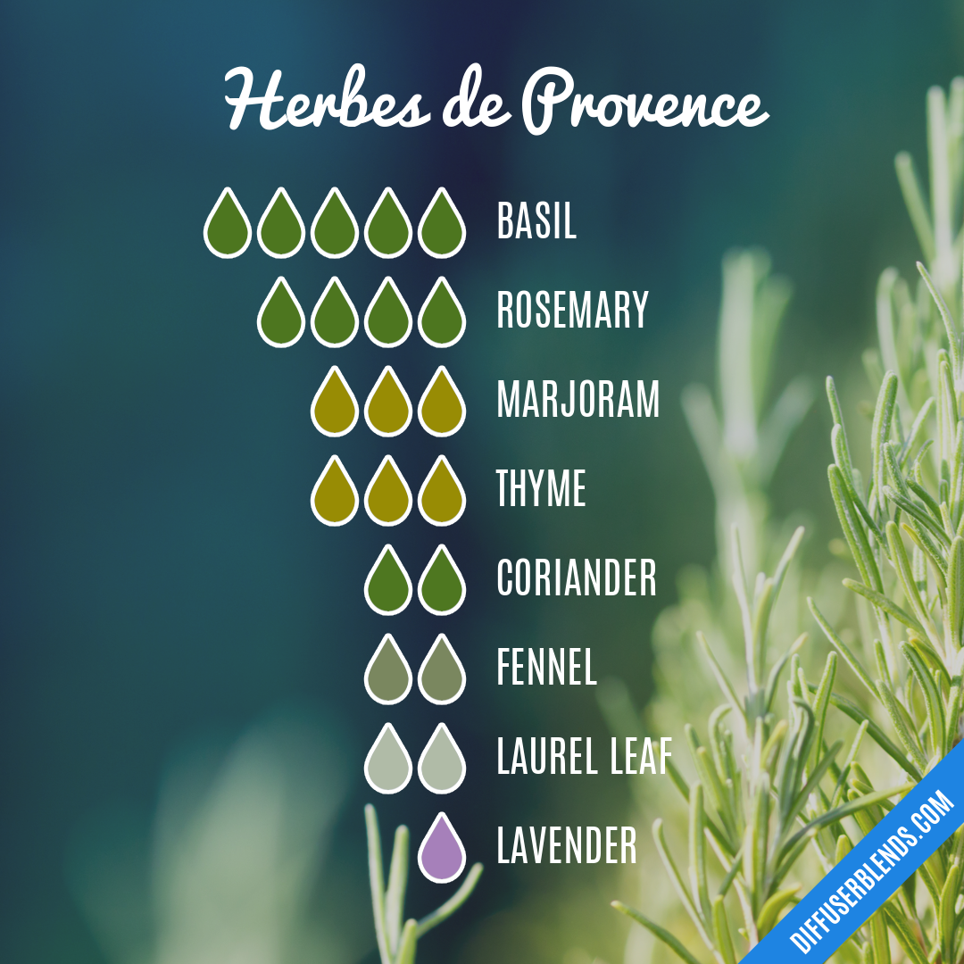 Provence Lavender Organic Essential Oil Diffuser Blend