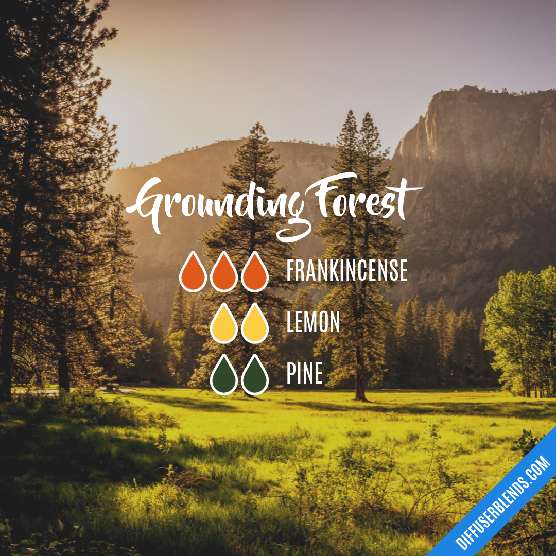 Grounding Forest — Essential Oil Diffuser Blend